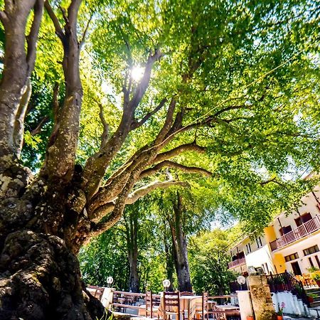 Hotel Hani Zisi ハニア エクステリア 写真