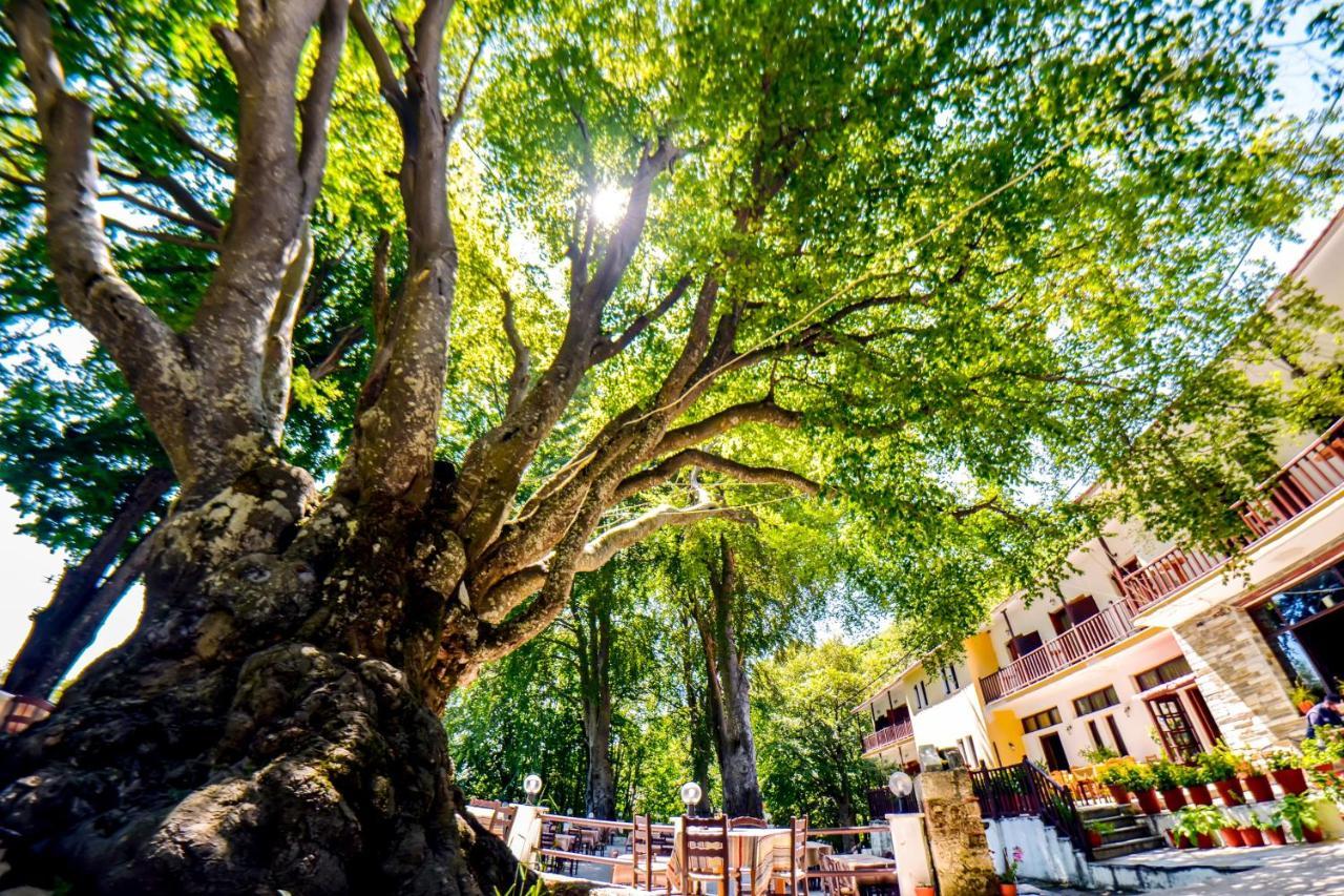 Hotel Hani Zisi ハニア エクステリア 写真