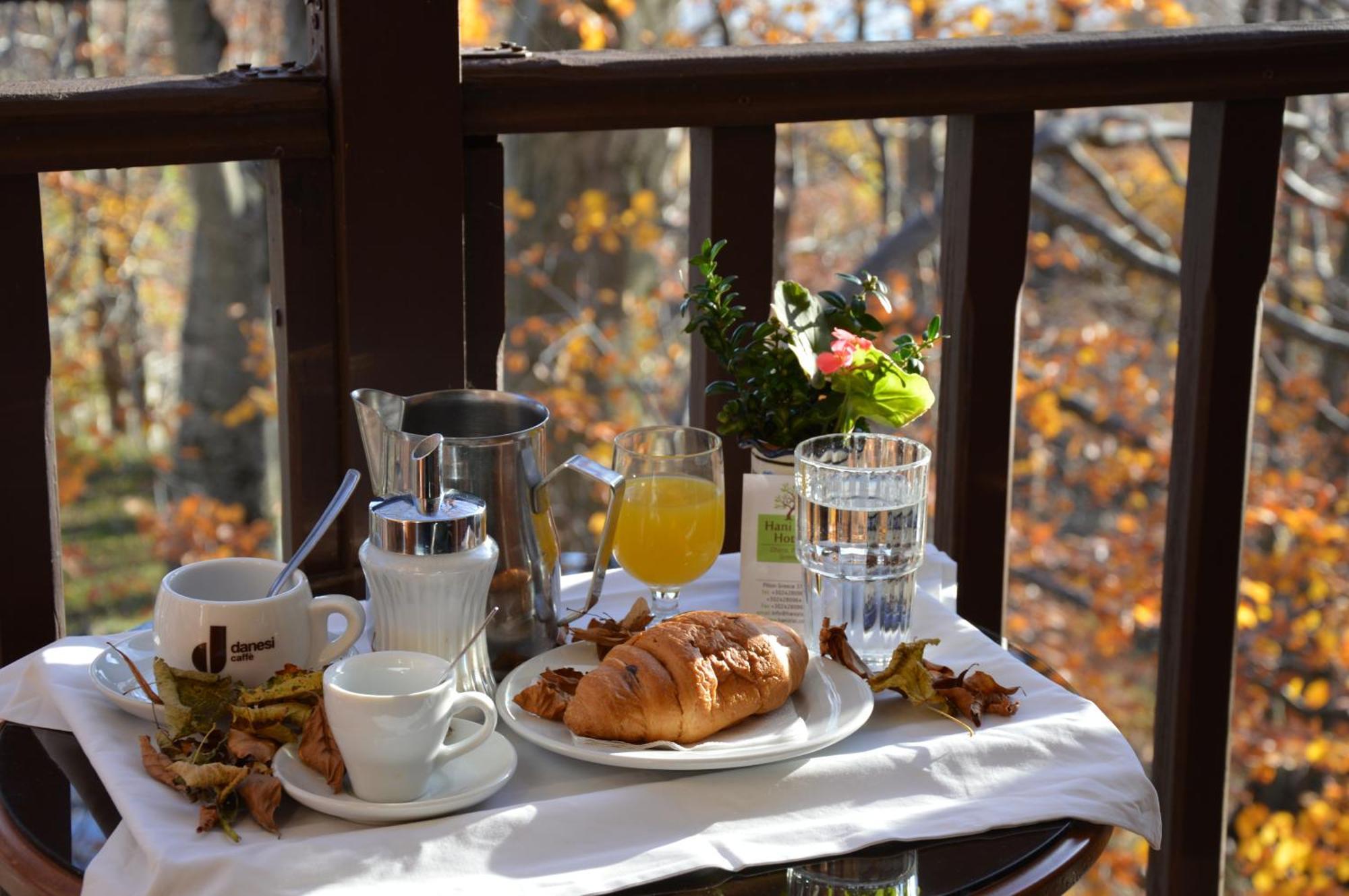 Hotel Hani Zisi ハニア 部屋 写真